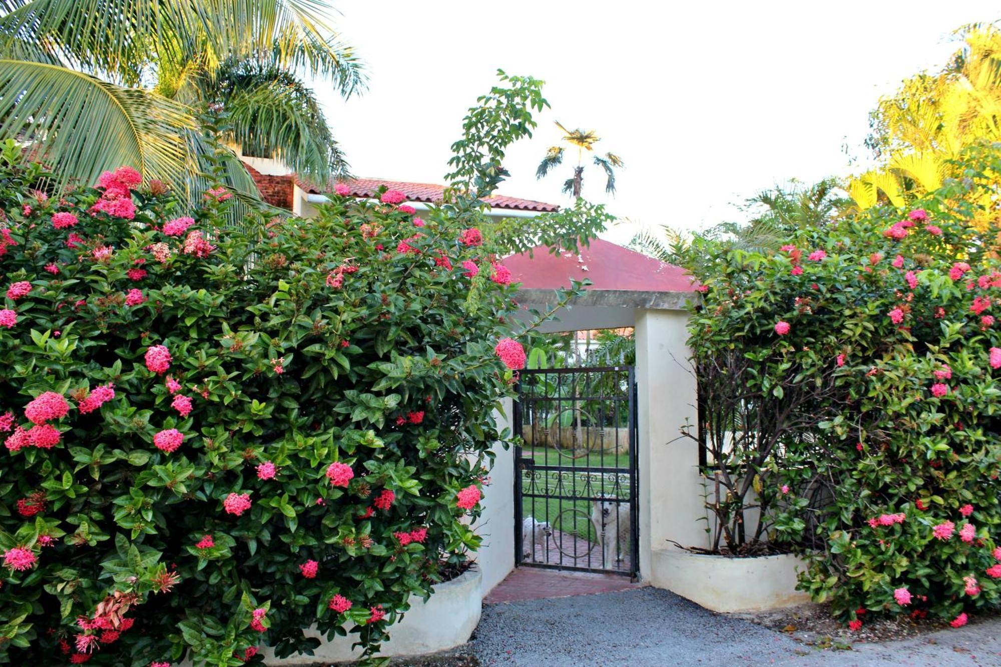 Sweet Home Punta Cana Guest House - Villa Q15A Exterior photo